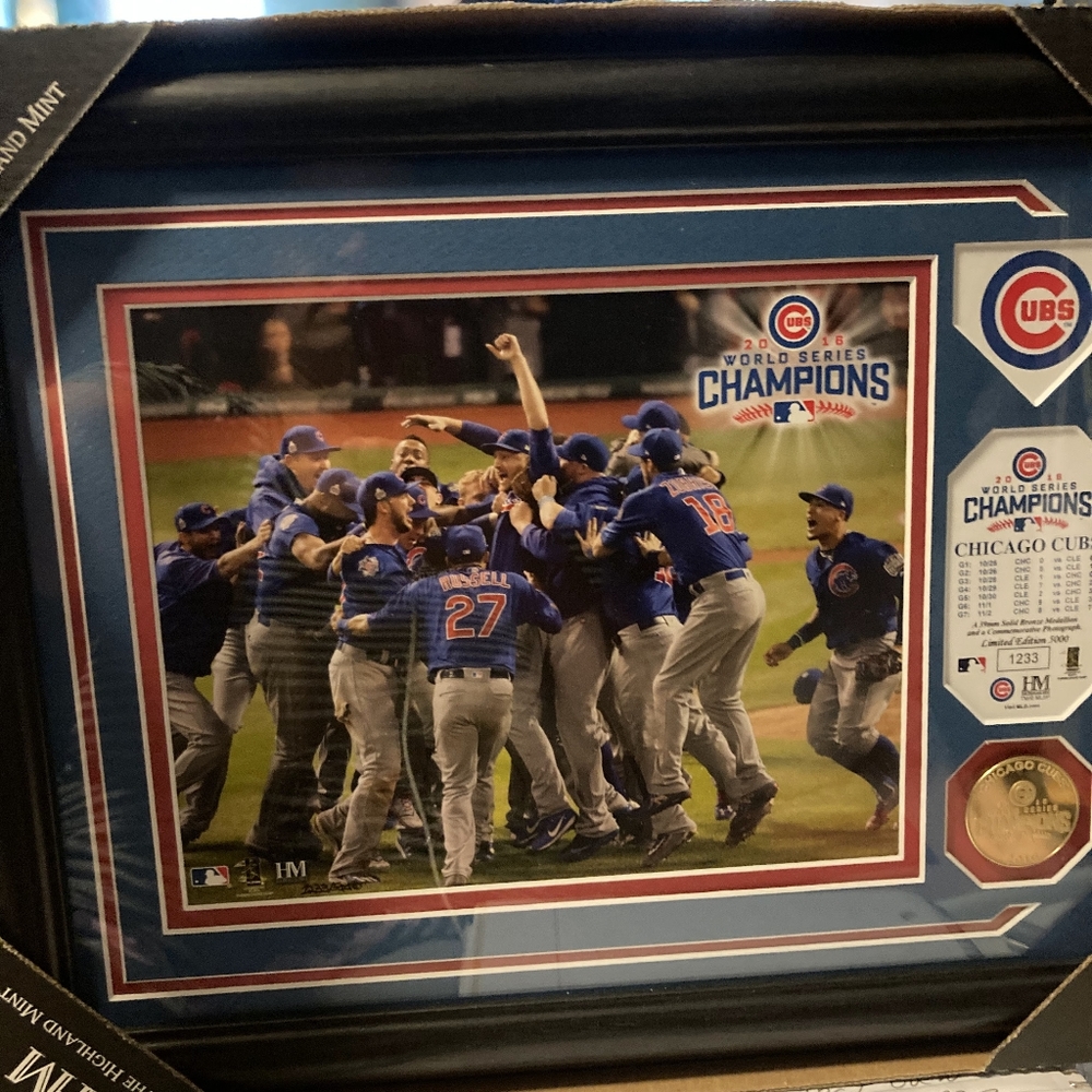 Official license 2018 Cubs world series picture